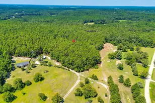 2249 Pepper Rd, Gilbert, SC 29073 - Photo 38