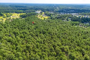 2249 Pepper Rd, Gilbert, SC 29073 - Photo 42