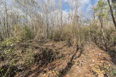 776 Shillings Bridge Road, Orangeburg, SC 29115 - Photo 10