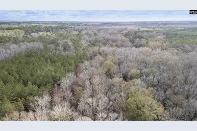 776 Shillings Bridge Road, Orangeburg, SC 29115 - Photo 14