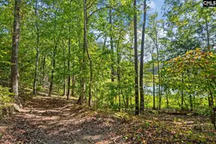 573 Canasta Dr, Gilbert, SC 29054 - Photo 28