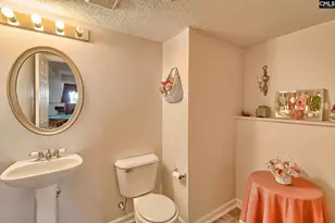 2 Cane Break Ct, Columbia, SC 29229 - Photo 30