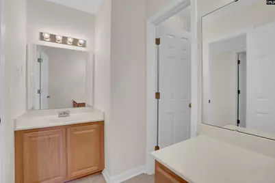 20 Persimmon Wood Court, Irmo, SC 29063 - Photo 42