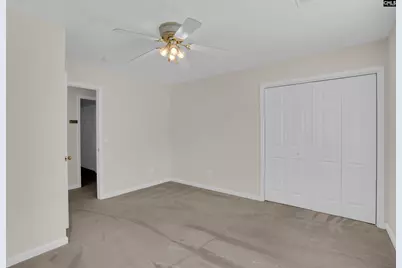 20 Persimmon Wood Court, Irmo, SC 29063 - Photo 54