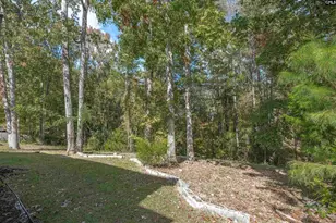 20 Persimmon Wood Ct, Irmo, SC 29063 - Photo 68
