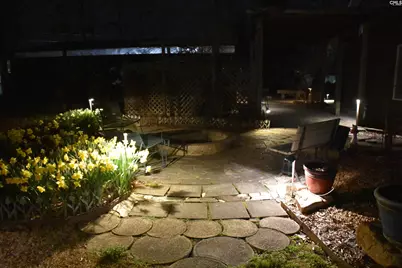 1351 Smyrna Road, Elgin, SC 29045 - Photo 50