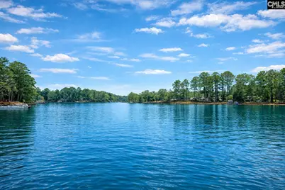 188 Kerry Gibbons Drive, Chapin, SC 29036 - Photo 6