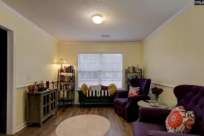 188 Kerry Gibbons Drive, Chapin, SC 29036 - Photo 12