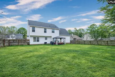 188 Kerry Gibbons Drive, Chapin, SC 29036 - Photo 4