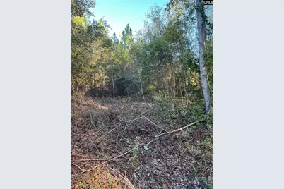 Ppf 12 Payne Pond Road #PPF 12, Westville, SC 29175 - Photo 8