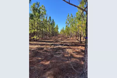 Ppf 12 Payne Pond Road #PPF 12, Westville, SC 29175 - Photo 52