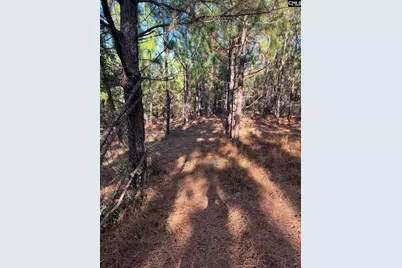 Ppf 12 Payne Pond Road #PPF 12, Westville, SC 29175 - Photo 36