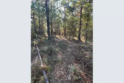 Ppf 12 Payne Pond Road #PPF 12, Westville, SC 29175 - Photo 20