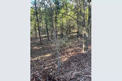 Ppf 12 Payne Pond Road #PPF 12, Westville, SC 29175 - Photo 34