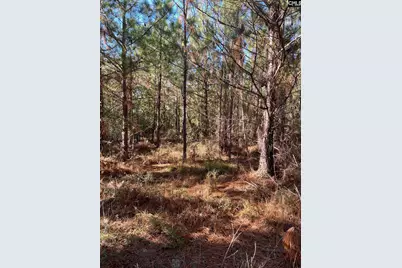 Ppf 12 Payne Pond Road #PPF 12, Westville, SC 29175 - Photo 42