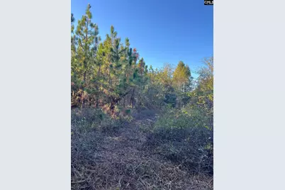 Ppf 12 Payne Pond Road #PPF 12, Westville, SC 29175 - Photo 2