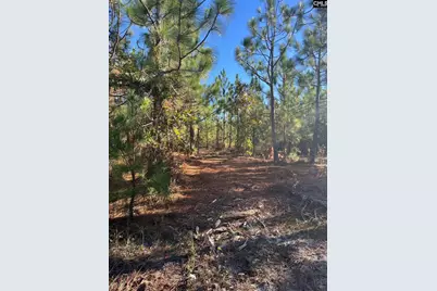 Ppf 12 Payne Pond Road #PPF 12, Westville, SC 29175 - Photo 38