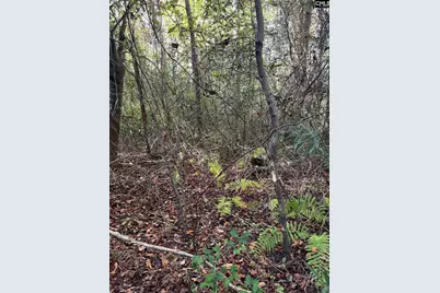 Ppf 12 Payne Pond Road #PPF 12, Westville, SC 29175 - Photo 16