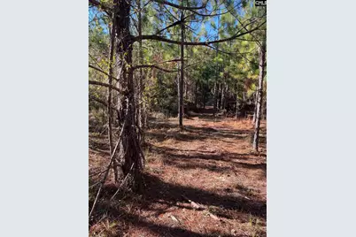 Ppf 12 Payne Pond Road #PPF 12, Westville, SC 29175 - Photo 32