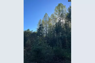 Ppf 12 Payne Pond Road #PPF 12, Westville, SC 29175 - Photo 28