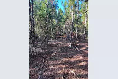 Ppf 12 Payne Pond Road #PPF 12, Westville, SC 29175 - Photo 6