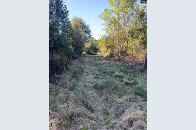 Ppf 12 Payne Pond Road #PPF 12, Westville, SC 29175 - Photo 1