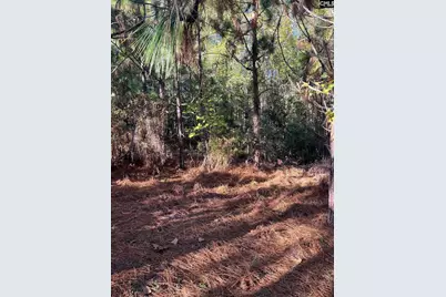 Ppf 12 Payne Pond Road #PPF 12, Westville, SC 29175 - Photo 18