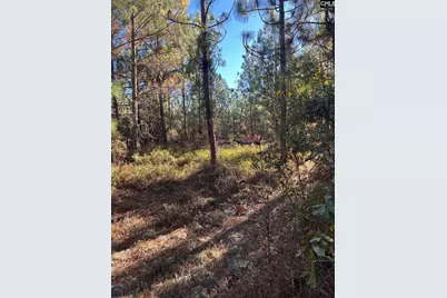 Ppf 12 Payne Pond Road #PPF 12, Westville, SC 29175 - Photo 22