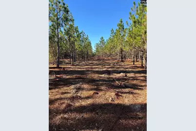 Ppf 12 Payne Pond Road #PPF 12, Westville, SC 29175 - Photo 50