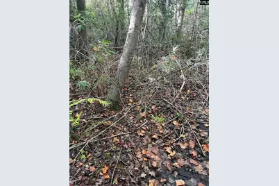 Ppf 12 Payne Pond Road #PPF 12, Westville, SC 29175 - Photo 14