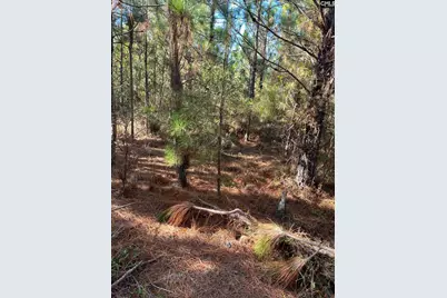 Ppf 12 Payne Pond Road #PPF 12, Westville, SC 29175 - Photo 44