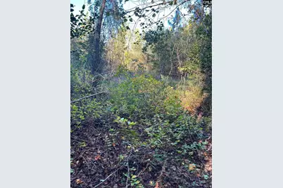 Ppf 12 Payne Pond Road #PPF 12, Westville, SC 29175 - Photo 10