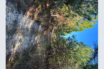 Ppf 12 Payne Pond Road #PPF 12, Westville, SC 29175 - Photo 4