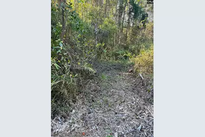 Ppf 12 Payne Pond Road #PPF 12, Westville, SC 29175 - Photo 26