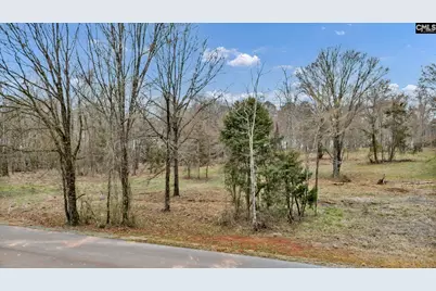 0 Lands End Lane #217, Prosperity, SC 29127 - Photo 2