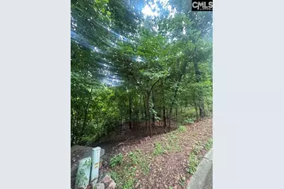 308 Bryars Court #39, Lexington, SC 29072 - Photo 2