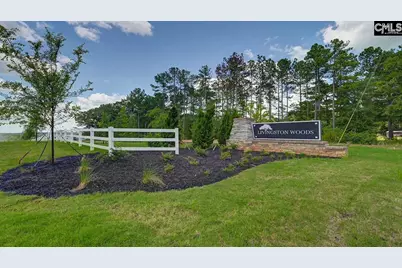 237 Livingston Woods Drive, Irmo, SC 29063 - Photo 16