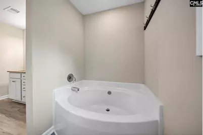 419 Saylor Hall Lane, Chapin, SC 29036 - Photo 18