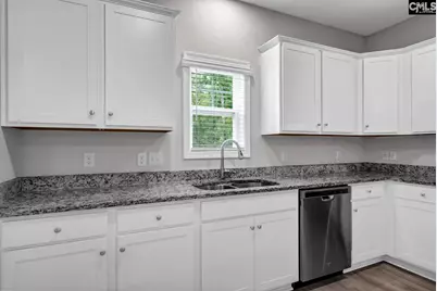 419 Saylor Hall Lane, Chapin, SC 29036 - Photo 10