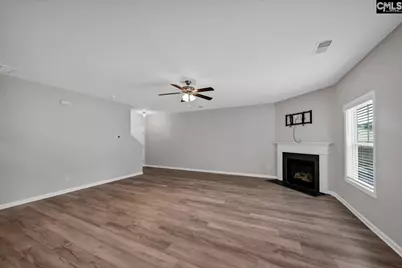 419 Saylor Hall Lane, Chapin, SC 29036 - Photo 12