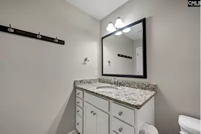 419 Saylor Hall Lane, Chapin, SC 29036 - Photo 26