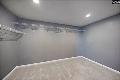 419 Saylor Hall Lane, Chapin, SC 29036 - Photo 16