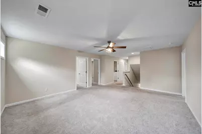 419 Saylor Hall Lane, Chapin, SC 29036 - Photo 14