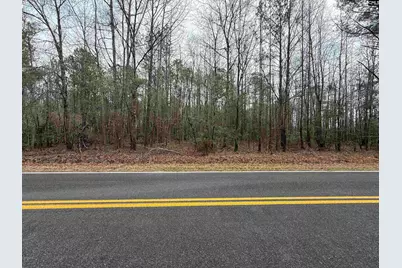 1644 Pincushion Road, Columbia, SC 29209 - Photo 4