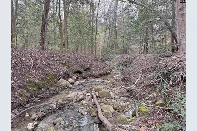 0 Tall Timber Drive, Leesville, SC 29070 - Photo 4