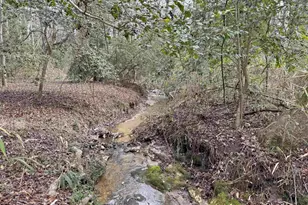 0 Tall Timber Dr, Leesville, SC 29070 - Photo 1