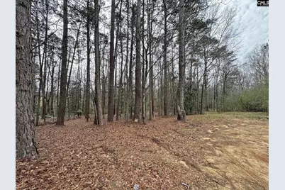 0 Tall Timber Drive, Leesville, SC 29070 - Photo 10