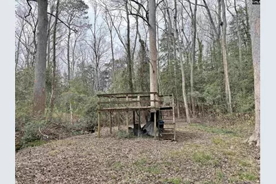 0 Tall Timber Drive, Leesville, SC 29070 - Photo 2