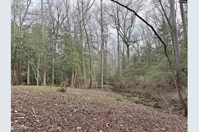 0 Tall Timber Drive, Leesville, SC 29070 - Photo 12