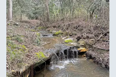 0 Tall Timber Drive, Leesville, SC 29070 - Photo 18